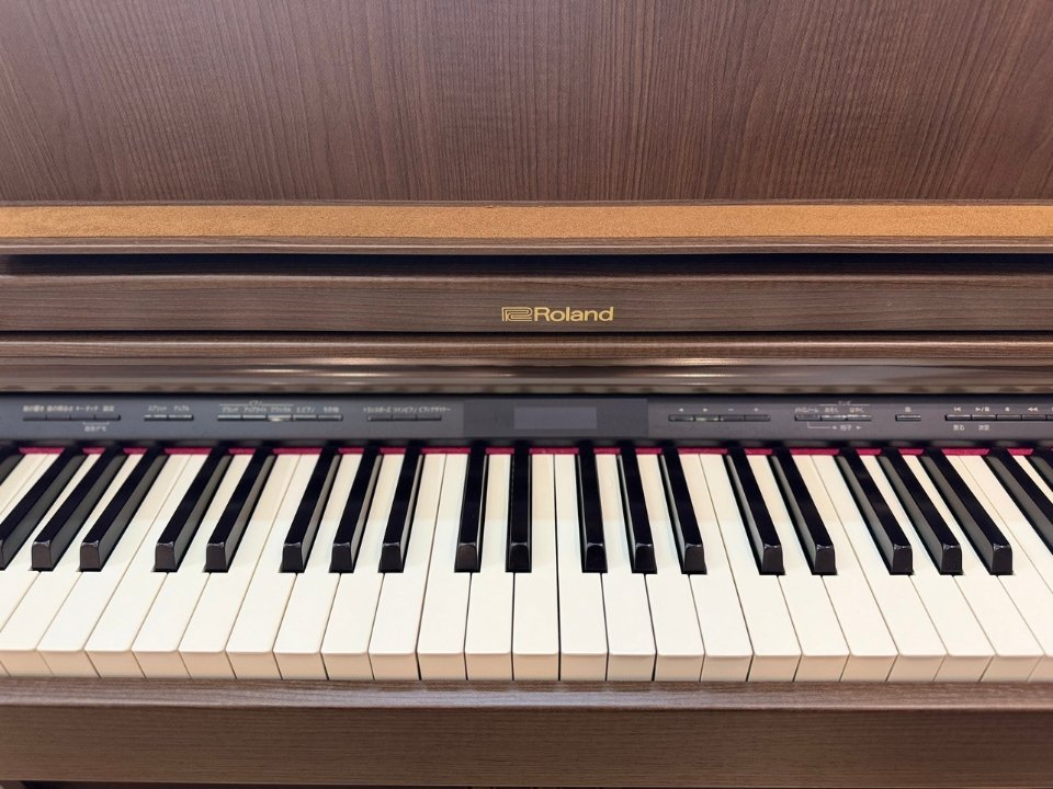 Hình ảnh chi tiết ROLAND LX-7 BW góc chụp 7